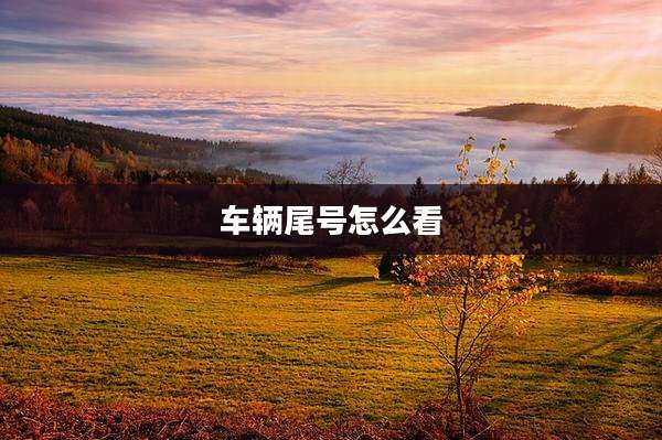 车辆尾号怎么看