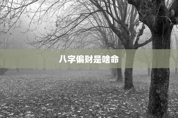 八字偏财是啥命