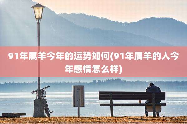 91年属羊今年的运势如何(91年属羊的人今年感情怎么样)