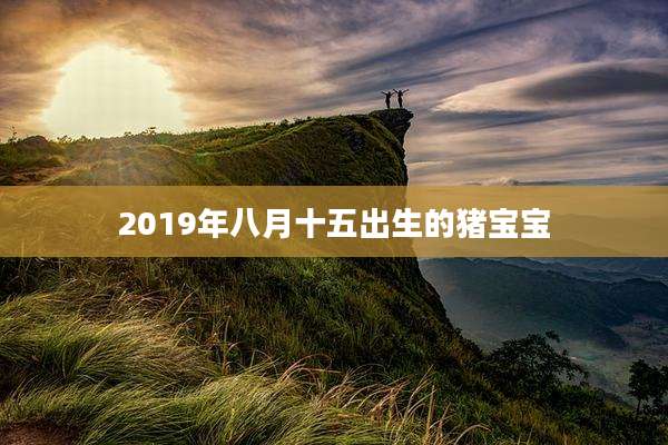 2019年八月十五出生的猪宝宝