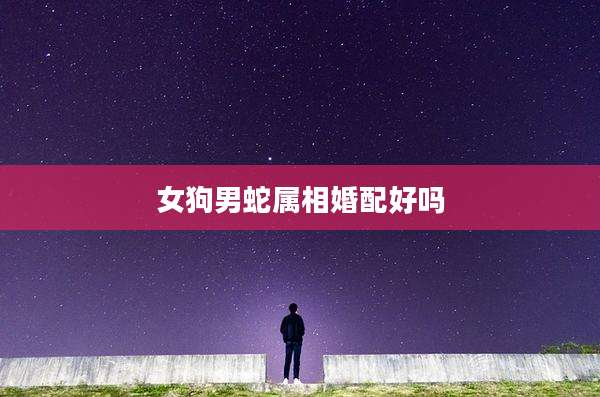 女狗男蛇属相婚配好吗