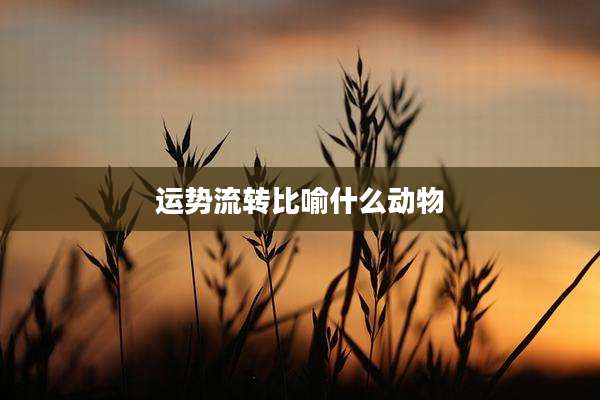 运势流转比喻什么动物