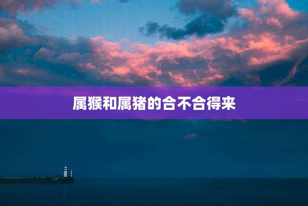 属猴和属猪的合不合得来