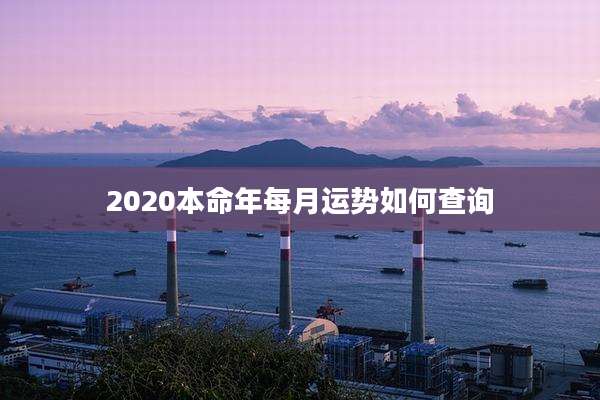 2020本命年每月运势如何查询