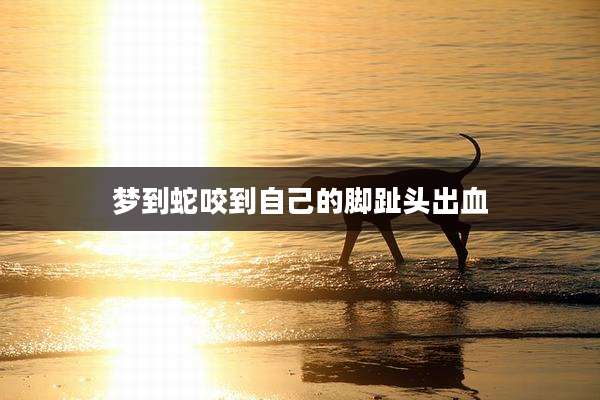 梦到蛇咬到自己的脚趾头出血