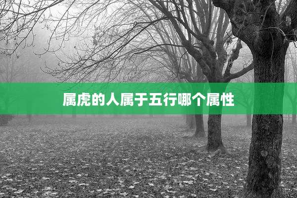 属虎的人属于五行哪个属性
