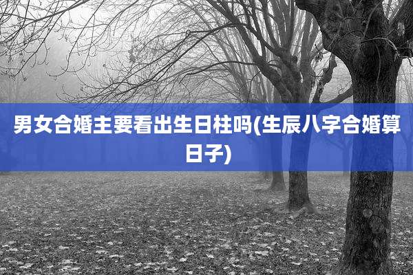 男女合婚主要看出生日柱吗(生辰八字合婚算日子)