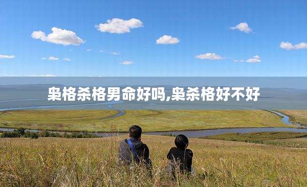 枭格杀格男命好吗,枭杀格好不好