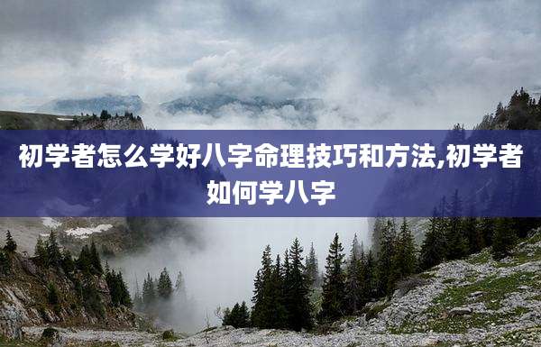 初学者怎么学好八字命理技巧和方法,初学者如何学八字