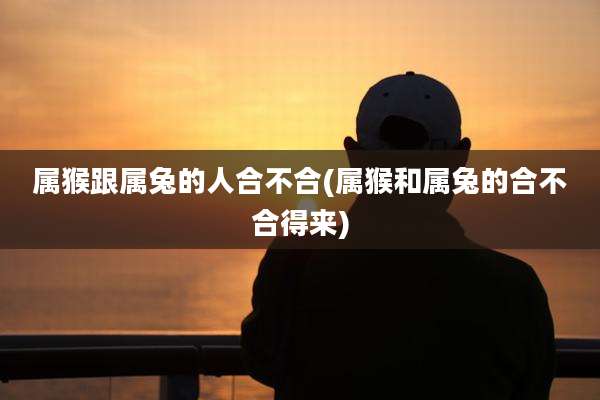 属猴跟属兔的人合不合(属猴和属兔的合不合得来)