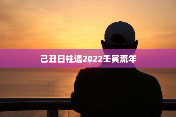 己丑日柱遇2022壬寅流年