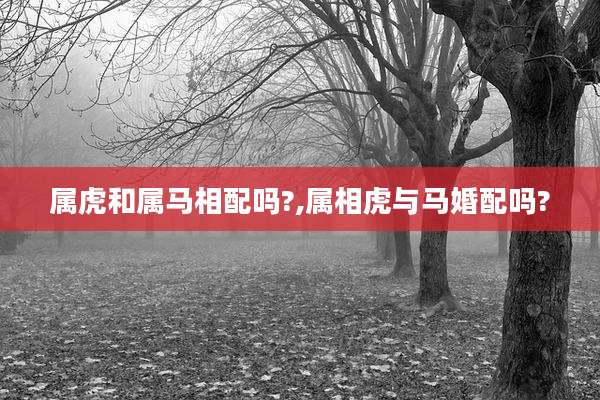 属虎和属马相配吗?,属相虎与马婚配吗?