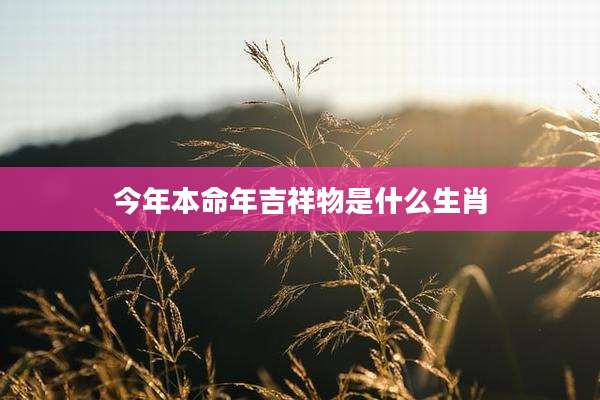今年本命年吉祥物是什么生肖