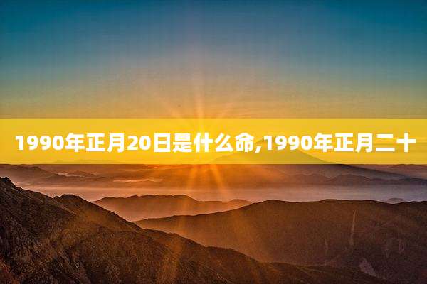 1990年正月20日是什么命,1990年正月二十