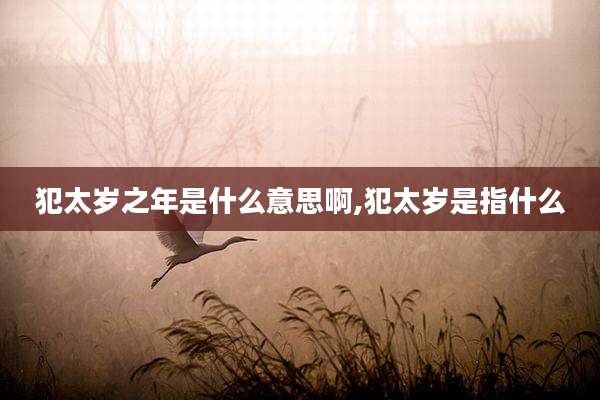 犯太岁之年是什么意思啊,犯太岁是指什么