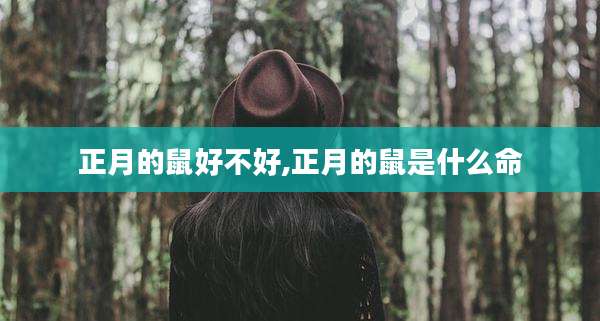 正月的鼠好不好,正月的鼠是什么命