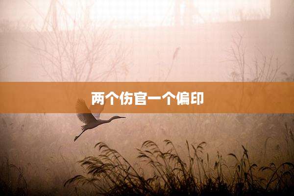 两个伤官一个偏印