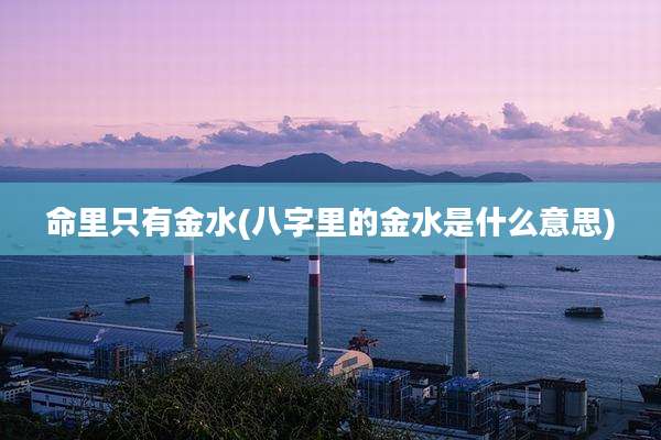 命里只有金水(八字里的金水是什么意思)