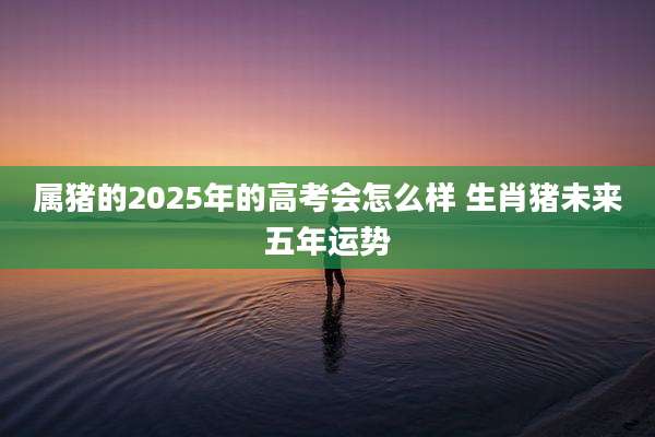 属猪的2025年的高考会怎么样 生肖猪未来五年运势
