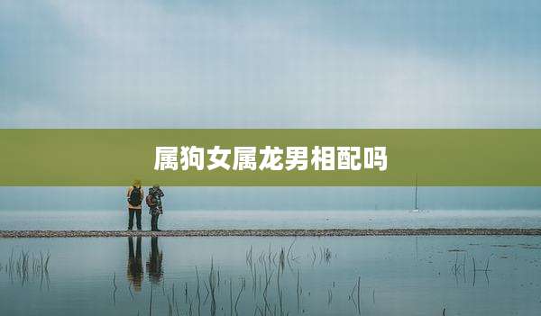 属狗女属龙男相配吗