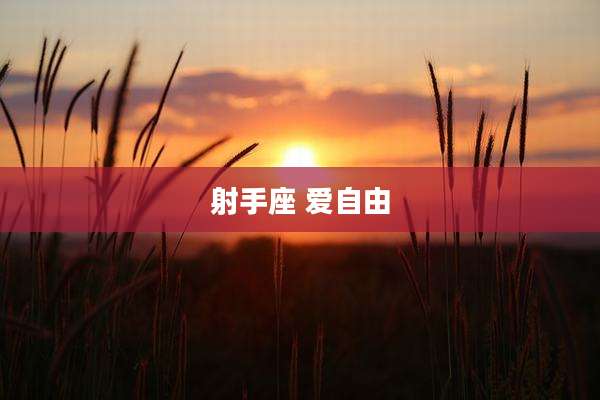 射手座 爱自由