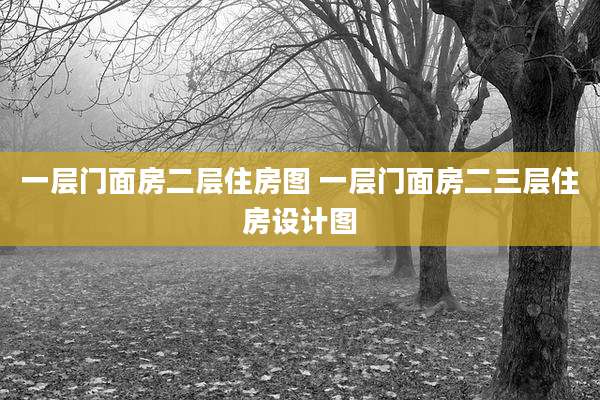 一层门面房二层住房图 一层门面房二三层住房设计图