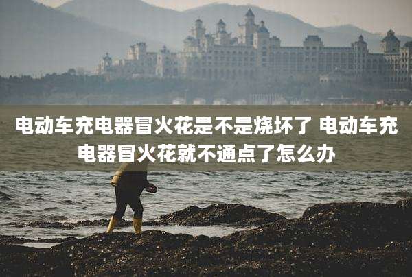 电动车充电器冒火花是不是烧坏了 电动车充电器冒火花就不通点了怎么办