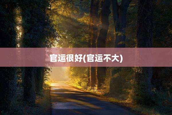 官运很好(官运不大)