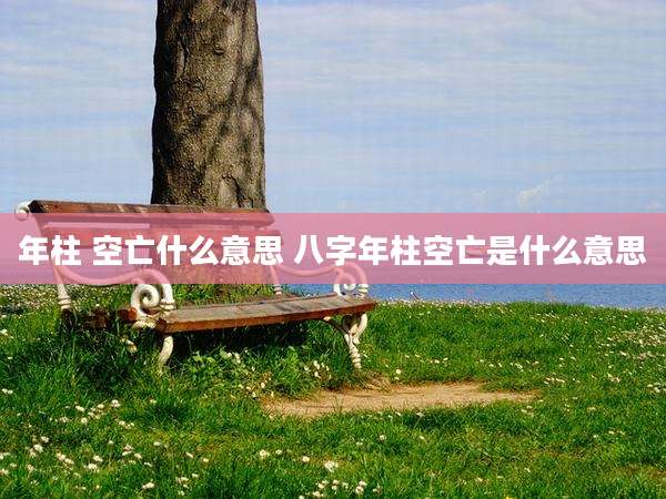 年柱 空亡什么意思 八字年柱空亡是什么意思