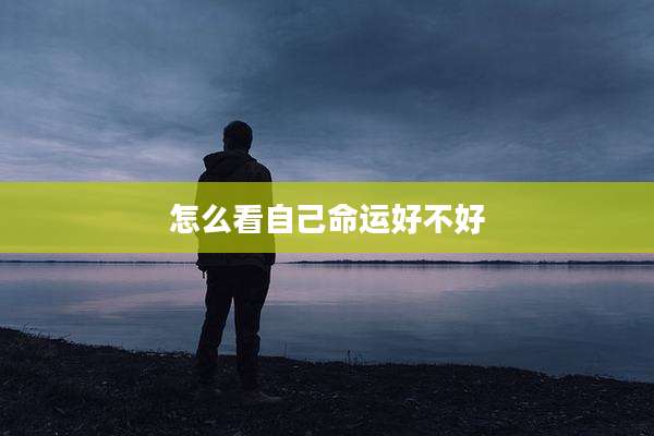 怎么看自己命运好不好
