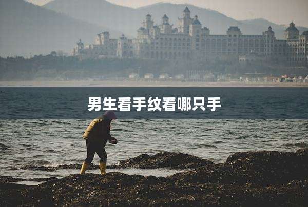 男生看手纹看哪只手