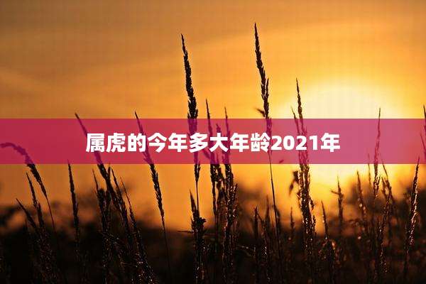 属虎的今年多大年龄2021年