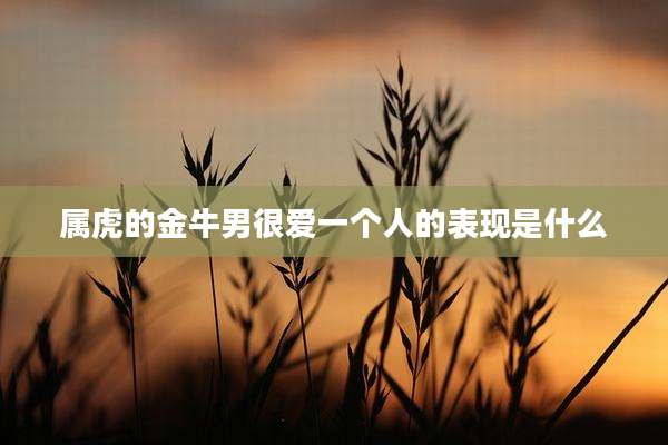 属虎的金牛男很爱一个人的表现是什么