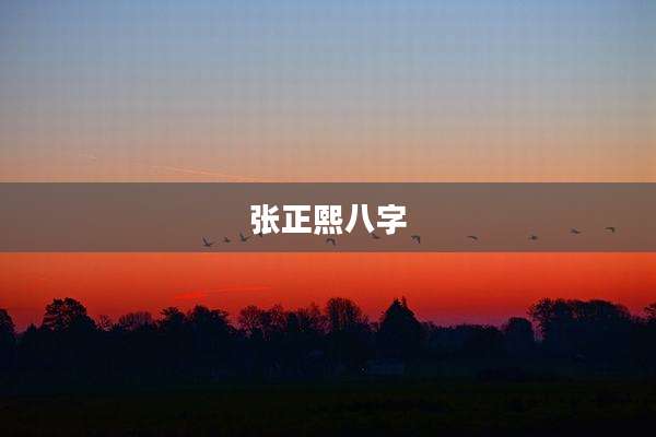 张正熙八字