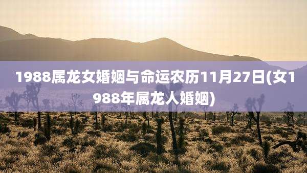1988属龙女婚姻与命运农历11月27日(女1988年属龙人婚姻)