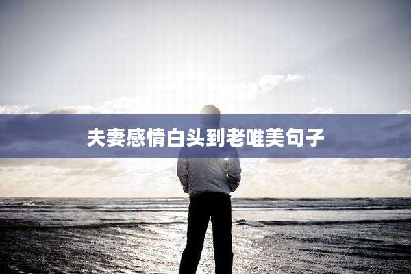夫妻感情白头到老唯美句子