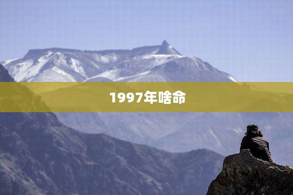 1997年啥命