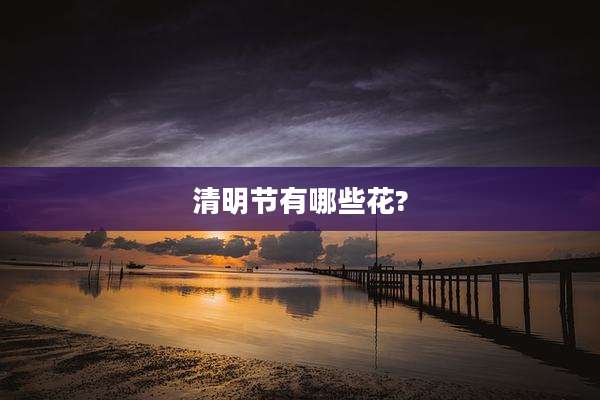 清明节有哪些花?