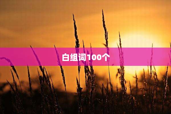 白组词100个