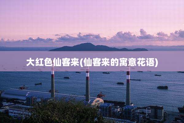 大红色仙客来(仙客来的寓意花语)