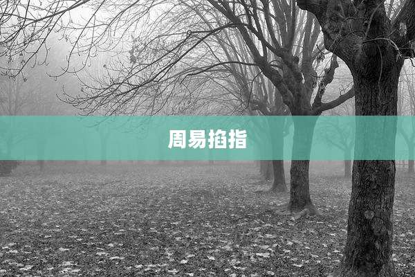 周易掐指