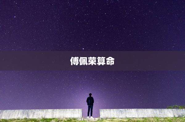 傅佩荣算命