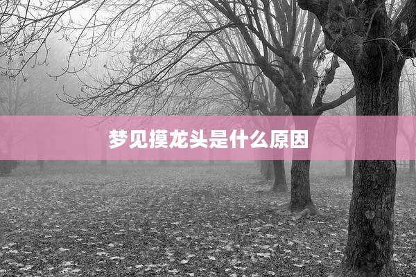 梦见摸龙头是什么原因