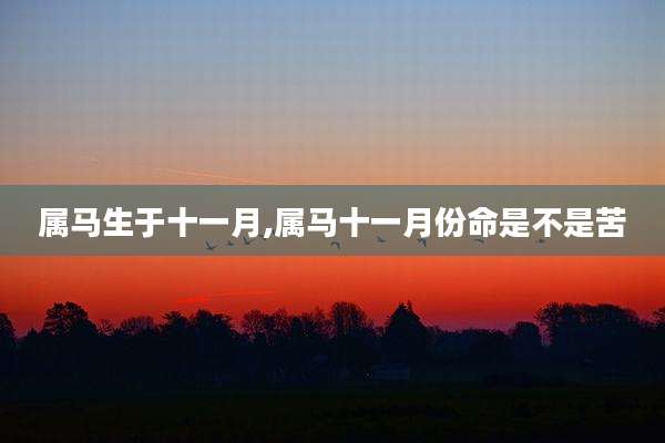 属马生于十一月,属马十一月份命是不是苦