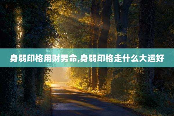 身弱印格用财男命,身弱印格走什么大运好