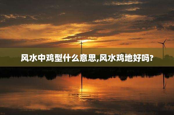 风水中鸡型什么意思,风水鸡地好吗?