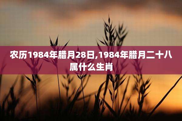 农历1984年腊月28日,1984年腊月二十八属什么生肖