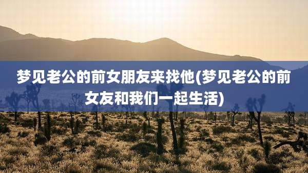 梦见老公的前女朋友来找他(梦见老公的前女友和我们一起生活)