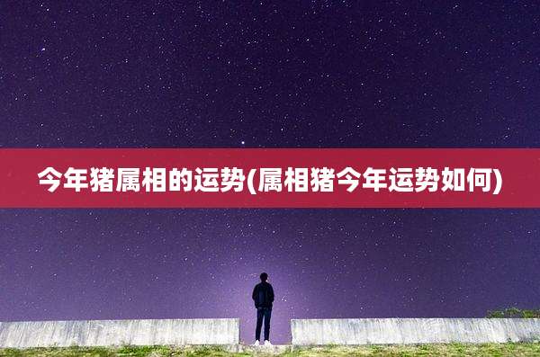 今年猪属相的运势(属相猪今年运势如何)