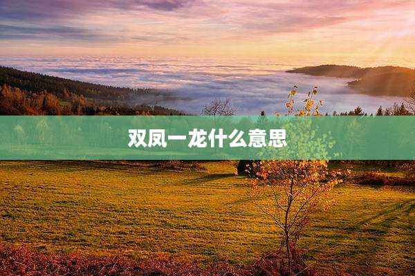 双凤一龙什么意思